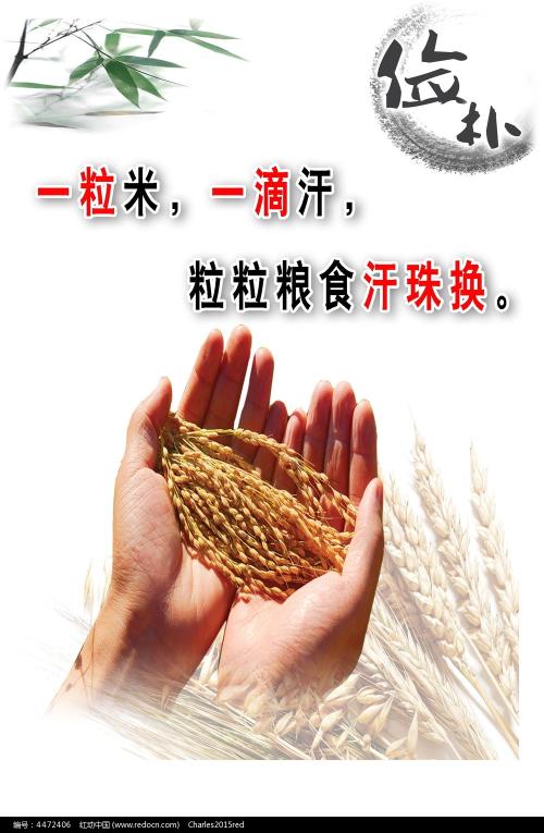 买北领地驾照